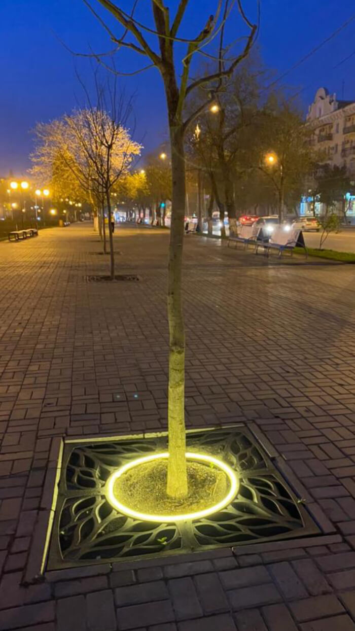 Приствольная решетка для дерева ZKING CRUST 1.2х1.2м Черная в Мытищах фото